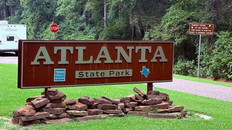 Ranger Programs That Add Real Depth to Your Visit