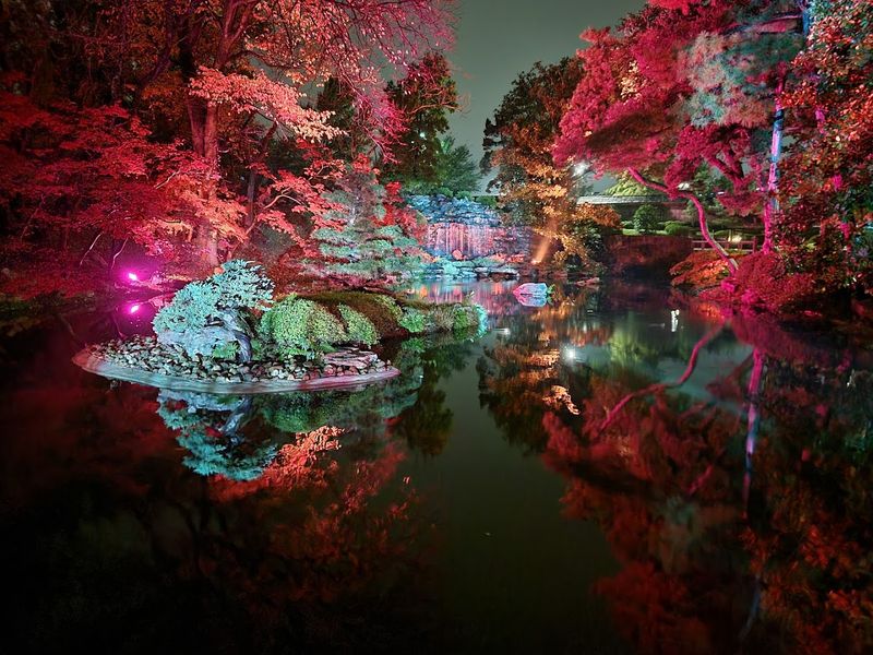 Christmas in the Garden After Dark