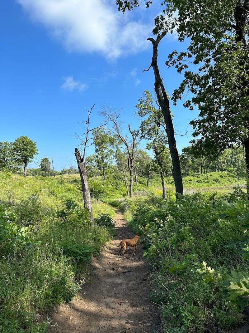 Paul H. Douglas (Miller Woods) Trail, Indiana Dunes National Park