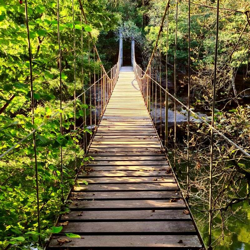 The Suspension Bridge Crossing The Suspension Bridge Crossing