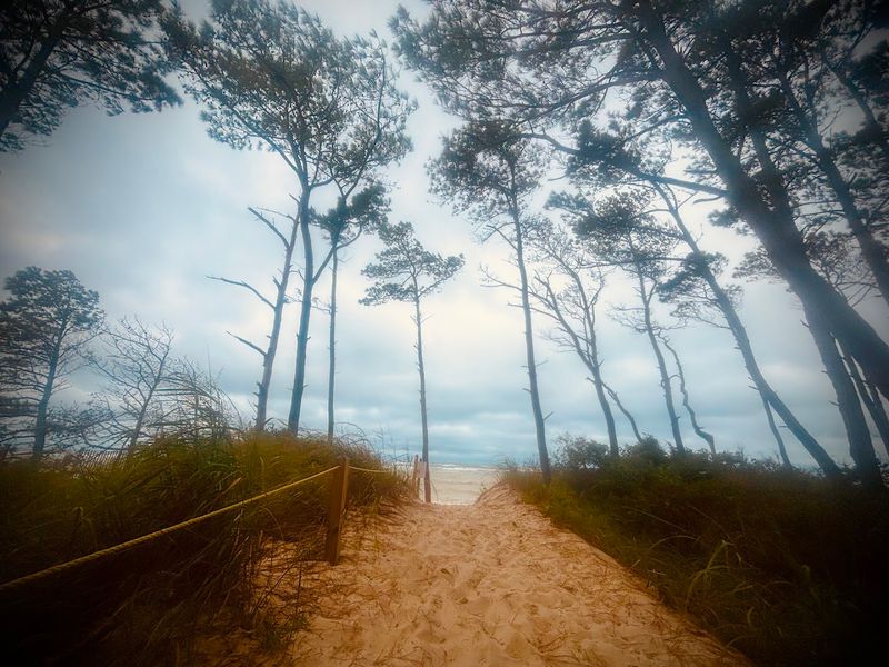 Savage Neck Dunes, Cape Charles