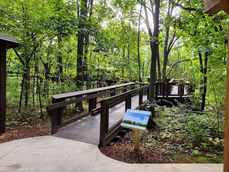 The Quiet Hush Of A Winter Night Alone