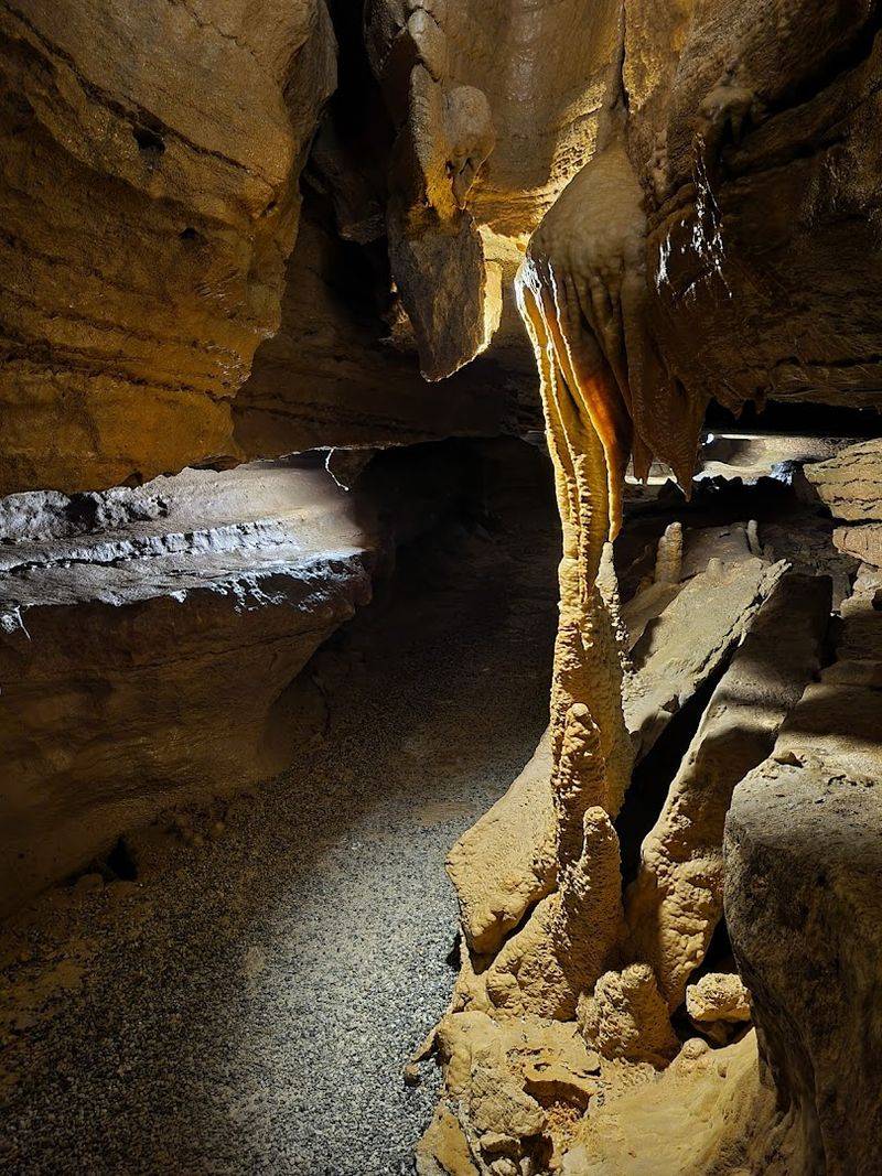 Seasonal Changes and Repeat Visit Appeal