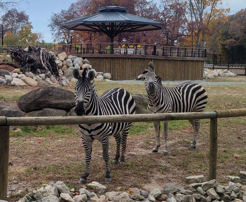 A Genuine Commitment to Conservation That Gives Your Visit Real Purpose