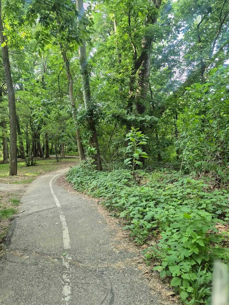 Educational Value That Goes Beyond the Classroom