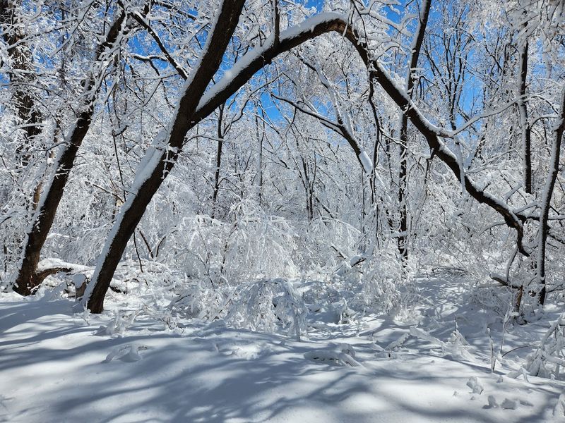 Winter Hiking and Cold Season Surprises