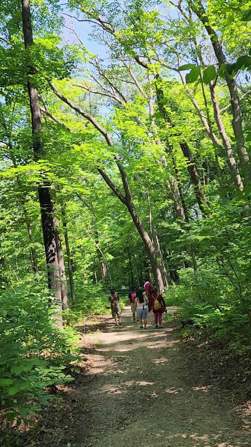 Camping at Nerstrand Big Woods State Park