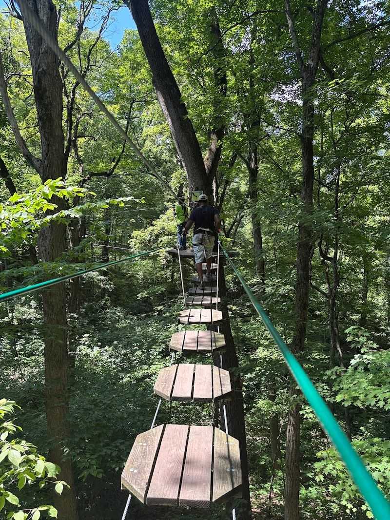 Thrilling Treetop Adventure With 40 Unique Obstacles