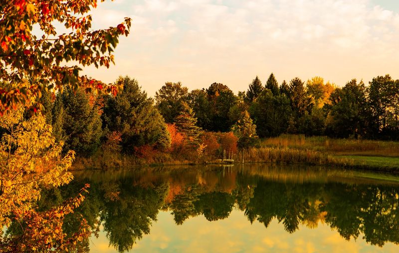 Affordable Access and Year-Round Activities