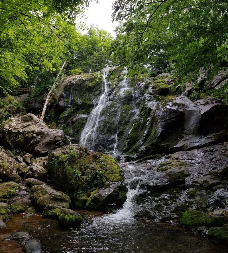 The Geology Story: What Makes the Greenstone So Dramatic