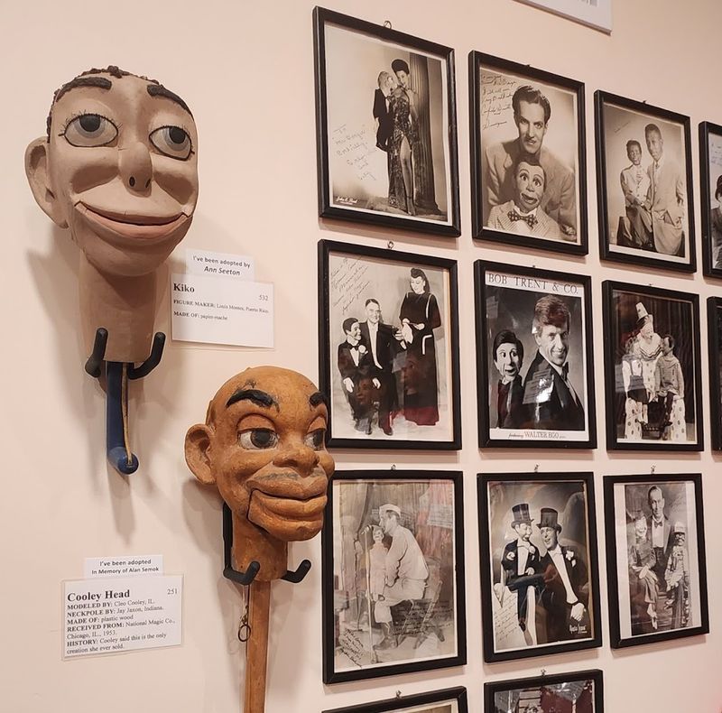 A Treasure Trove Beyond the Dummies