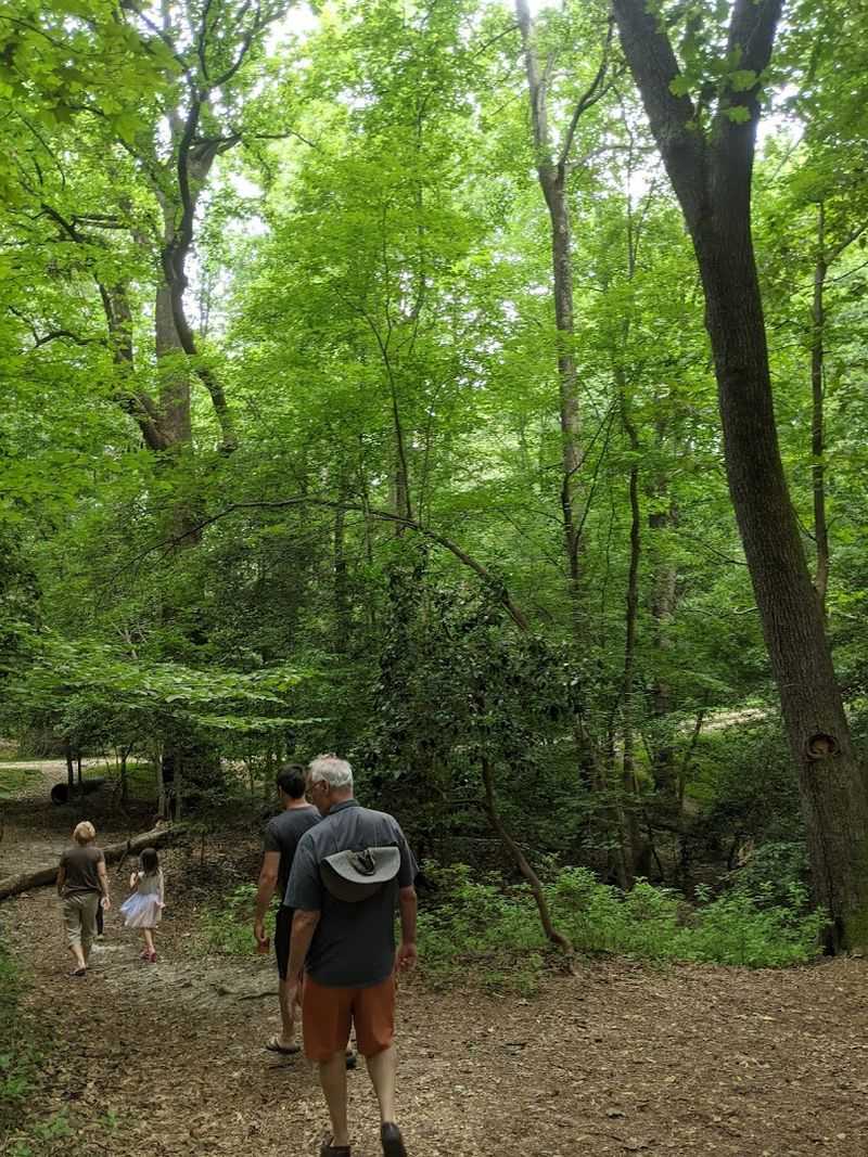 What the Trail Itself Actually Looks and Feels Like