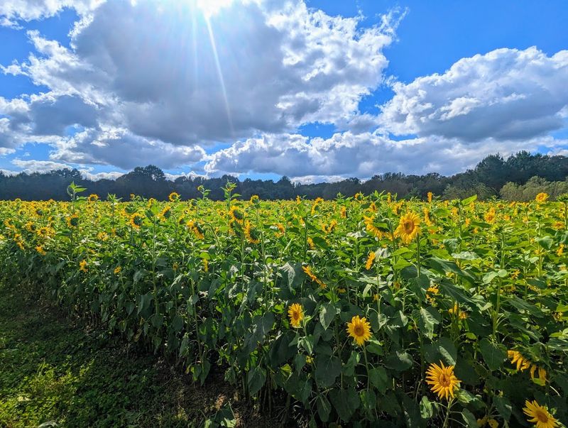 The CSA Program That Keeps the Farm Connection Going All Season