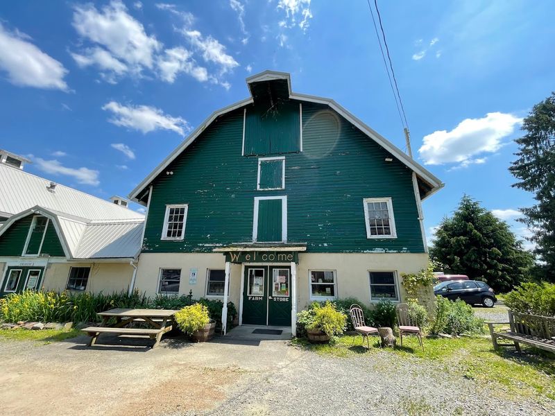 Community Connection and Seasonal Offerings