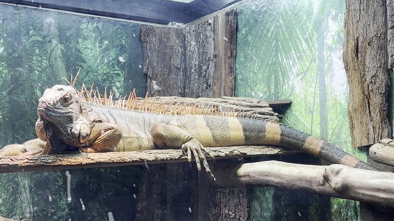 Interactive Science Displays That Go Way Beyond the Basics