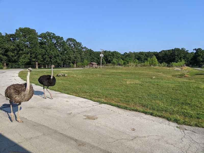 The Guided Bus Tour Option