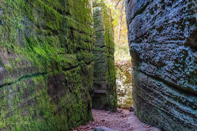 Giant City State Park, Jackson and Union Counties