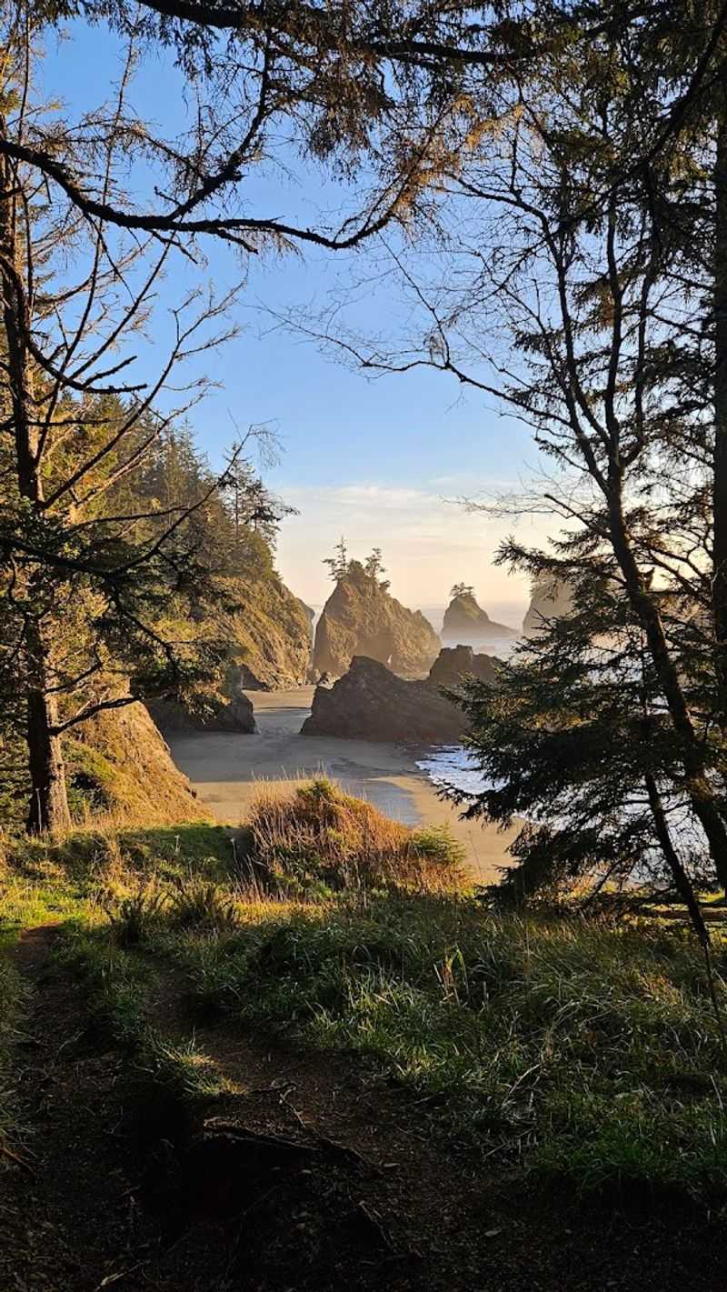 The Trail Down to the Shore