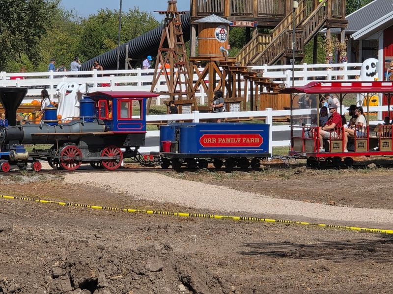 Seasonal Activities That Keep Every Visit Feeling New