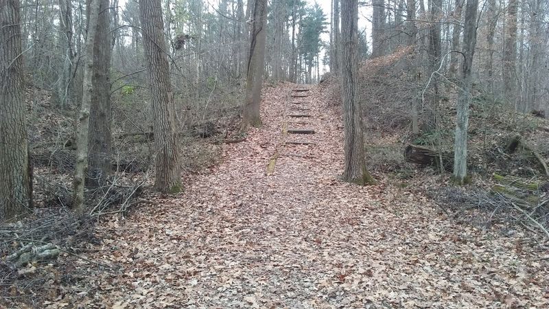 Ridge Trails With Real Character Through The Hardwoods