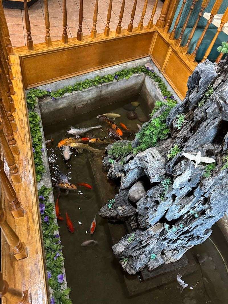 The Koi Pond Is A Surprisingly Lovely Touch