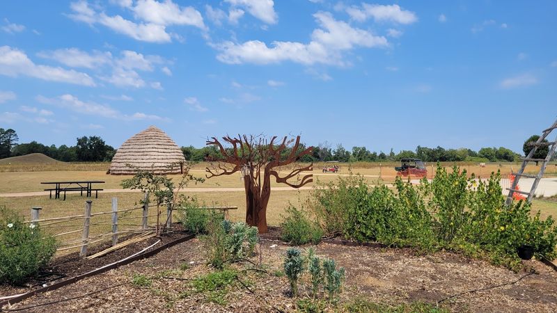 Caddo Culture Day: A Living Celebration