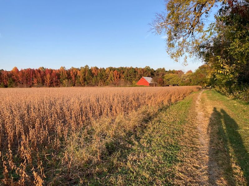 Biking Through Open Farmland and Forest Roads