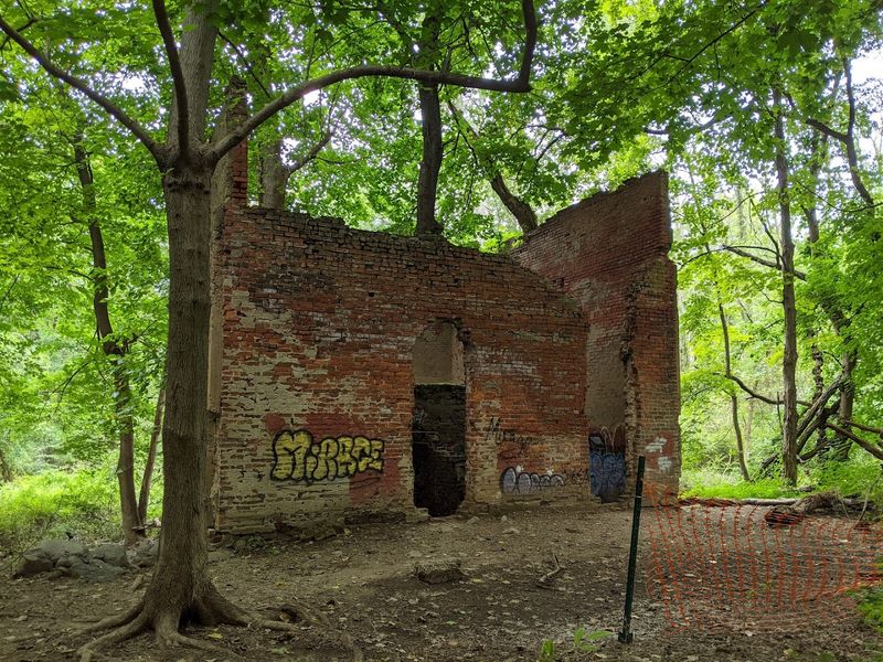 Wildlife and Nature: What Shares the Trails With You