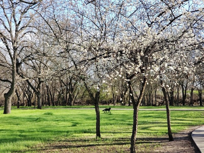 The 40-Acre Footprint: More Space Than You Expect