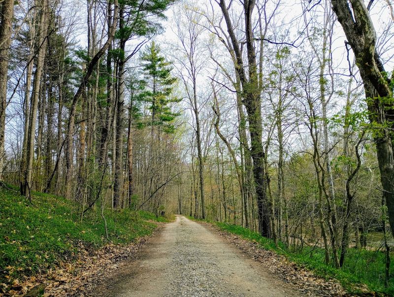 A Founding Story Worth Knowing Before You Go