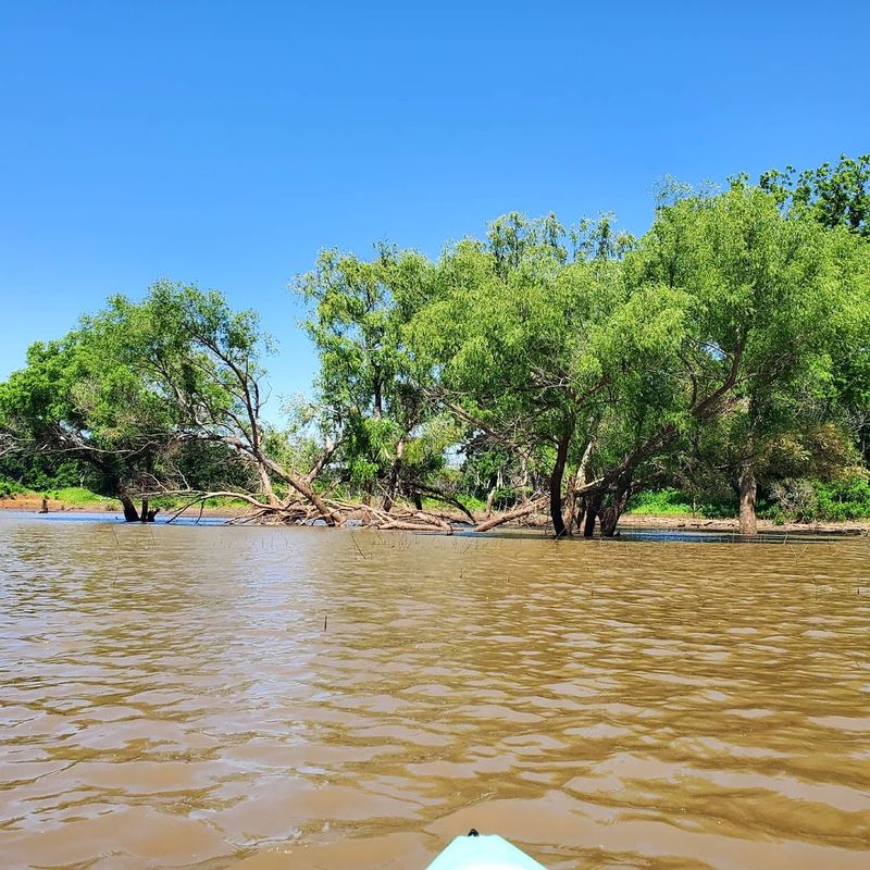 Camping Options Range from Rustic to Surprisingly Comfortable