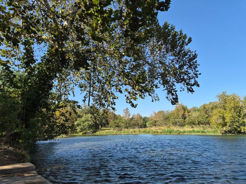 Planning Your Visit: Hours, Tips, and What to Bring