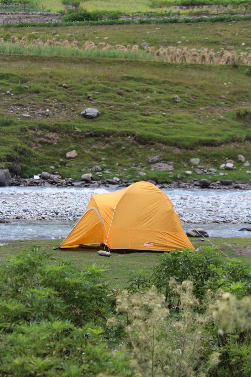 Camping Under the Stars at the Lake's Shoreline Campgrounds