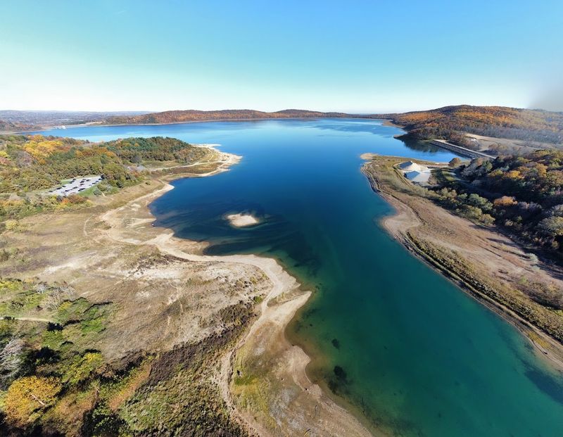 Wildlife Watching That Brings Hawks, Eagles, and Deer Up Close