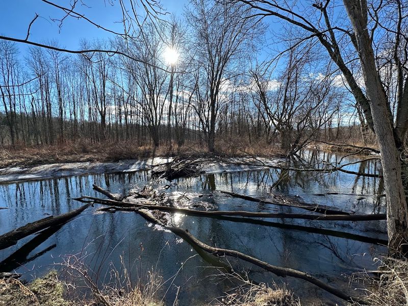 Seasonal Visits and What Each Season Offers