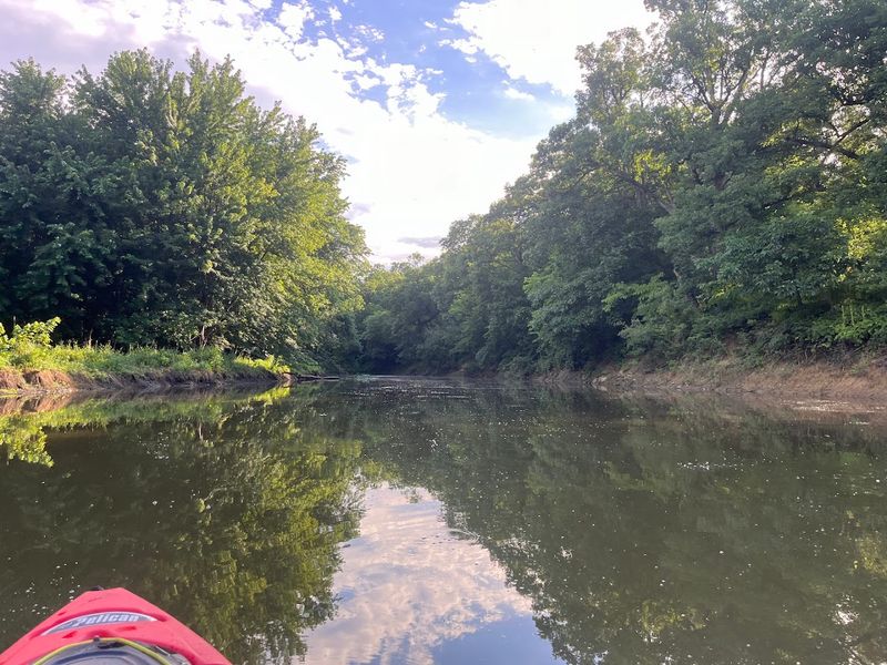 Wildlife Sightings Around Every Bend