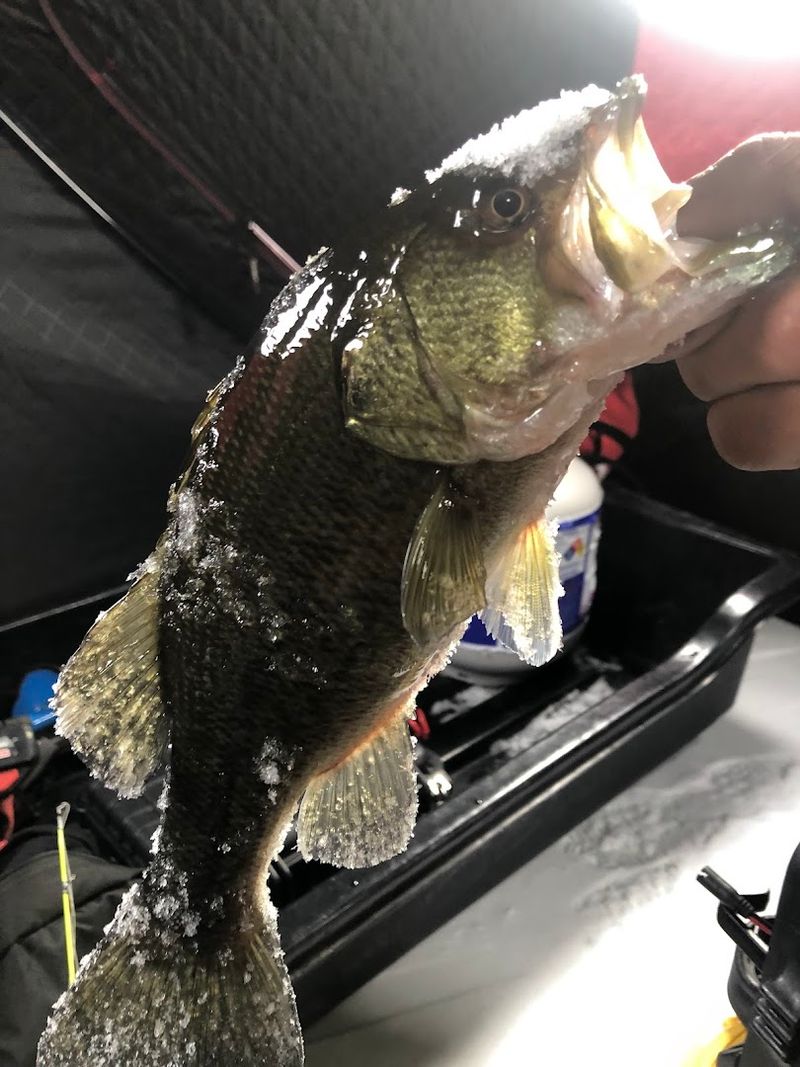 A Walk Along the Shoreline