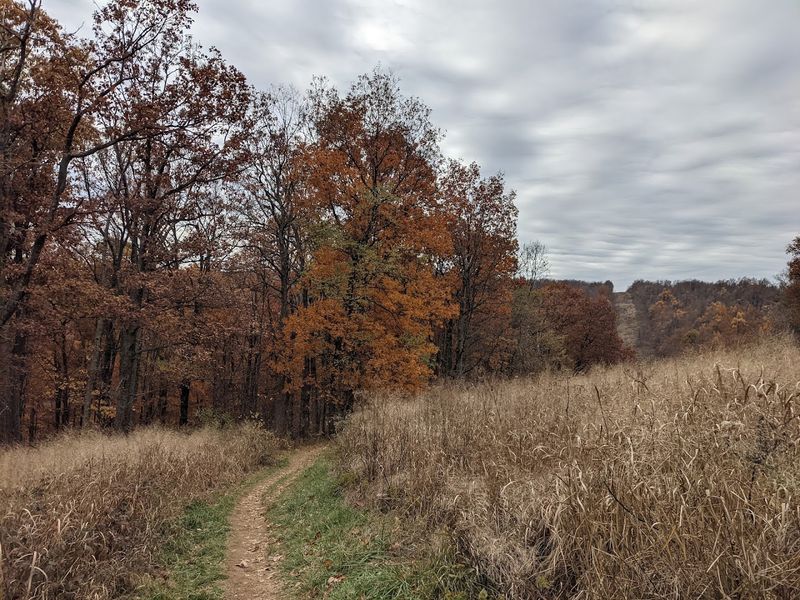 Primitive Camping With Surprising Charm