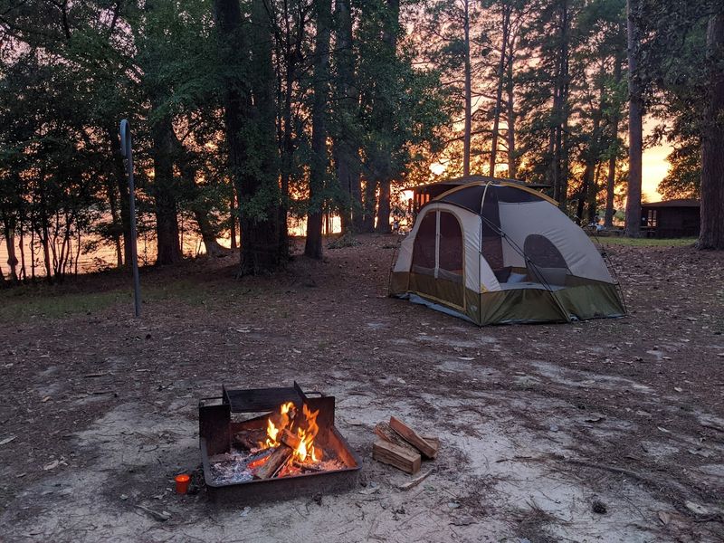 Camping Options: Over 200 Sites, Shelters, and Cabins
