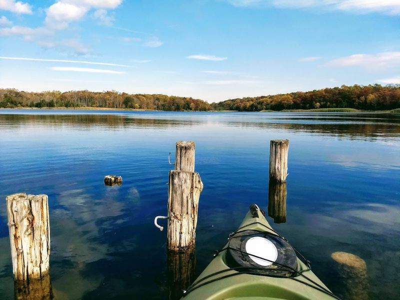 Wildlife Watching That Rewards the Slow and Patient Visitor