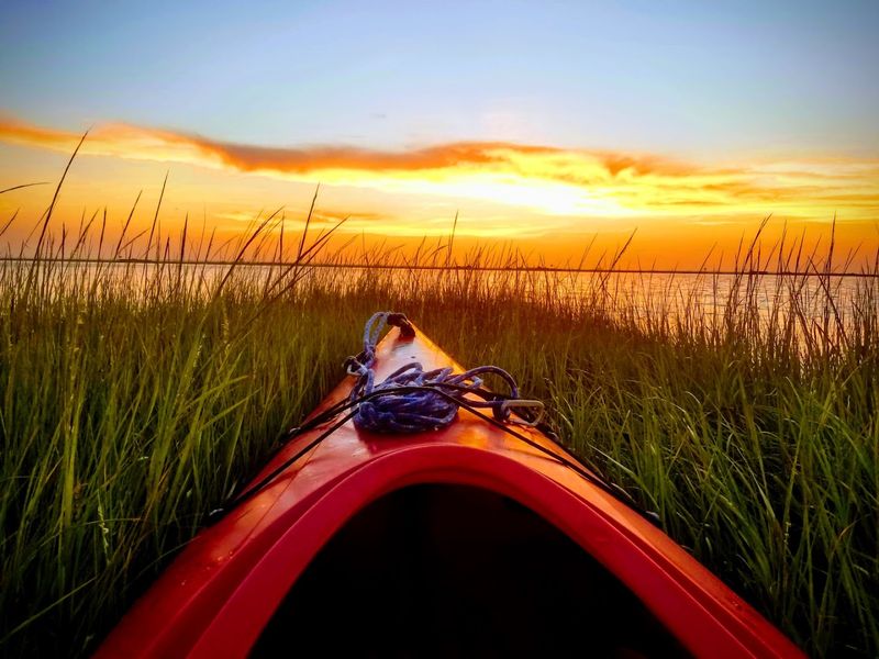 Environmental Education That Actually Sticks