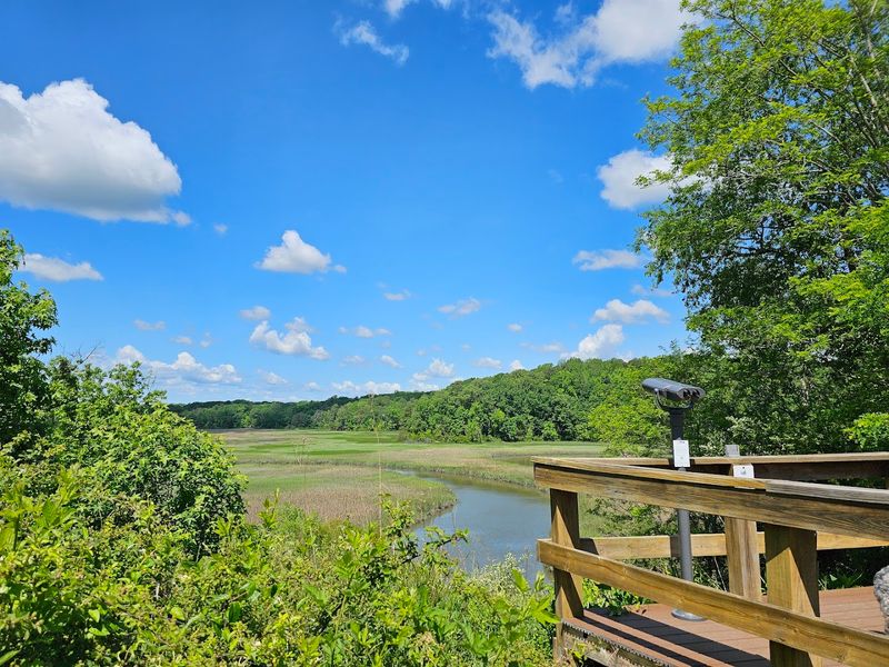 Planning Your Visit to York River State Park