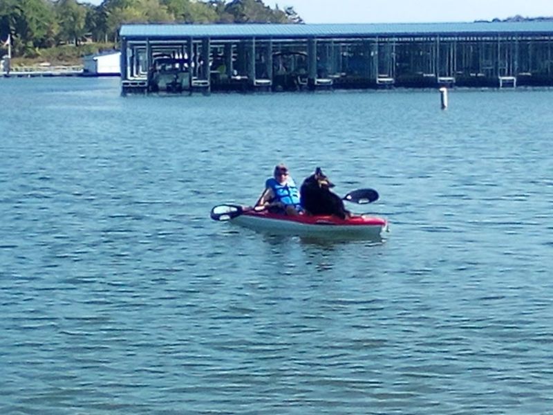 Kayaking and Paddling Through the Cove