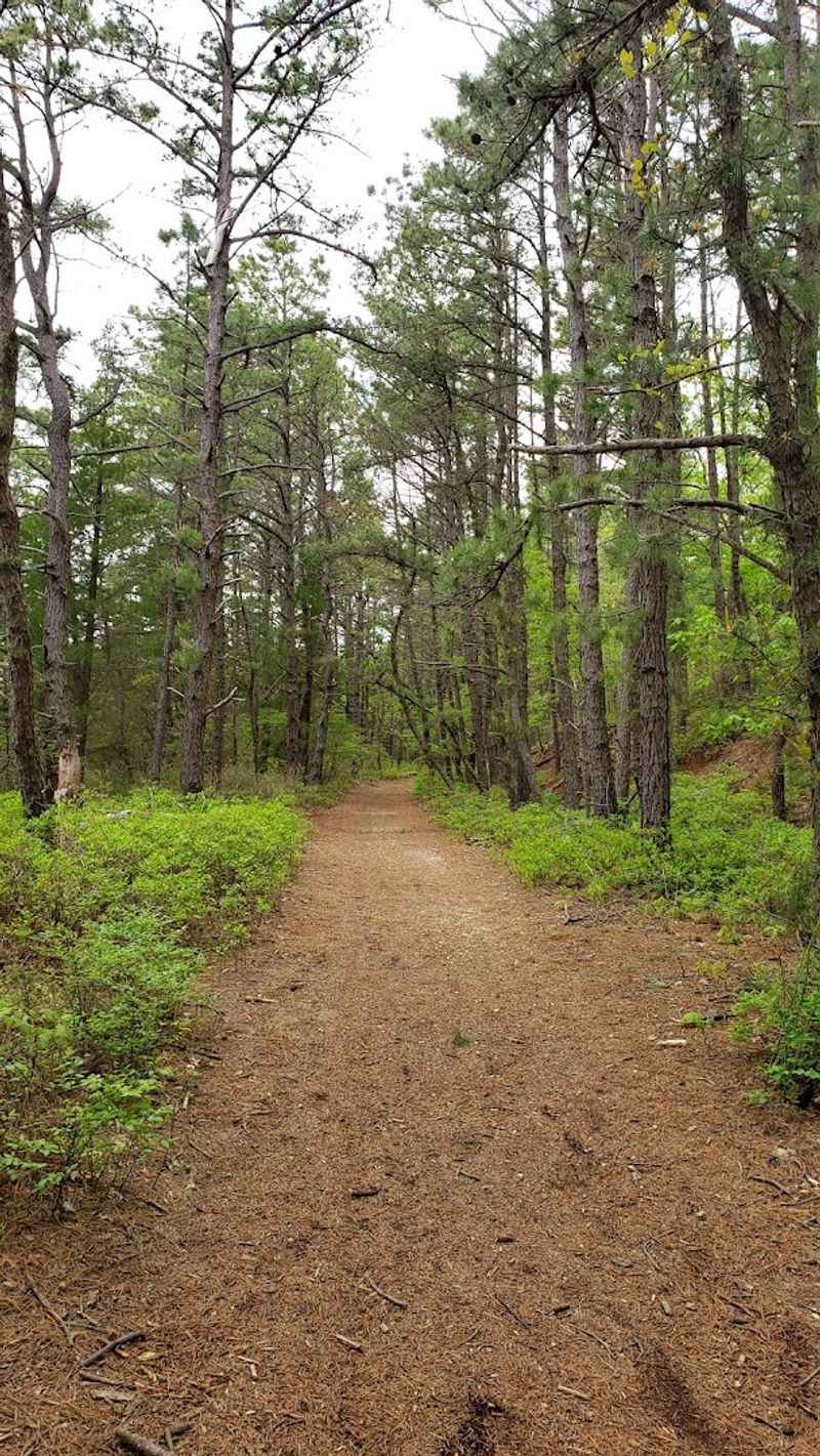 Hiking Trails That Reward Every Level of Effort