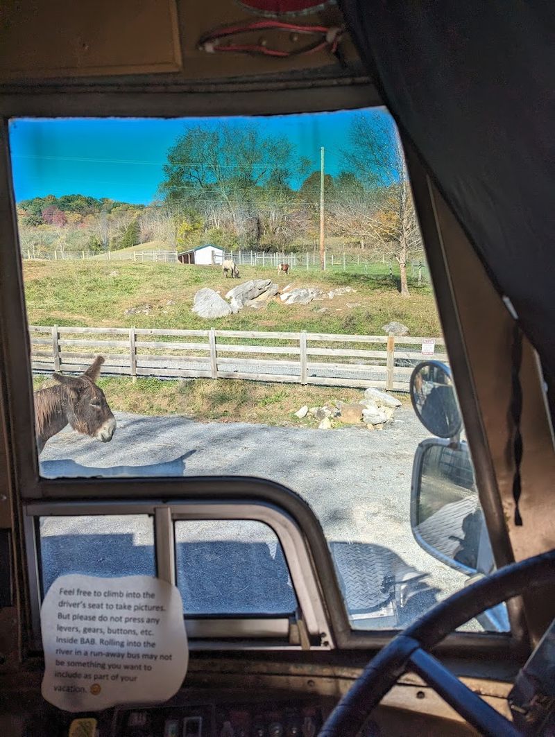 Abingdon Vineyards: A Wine Country Detour Worth Taking