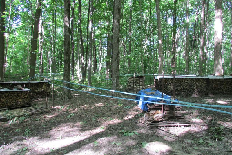 Maple Syrup Season Brings the Park to Life