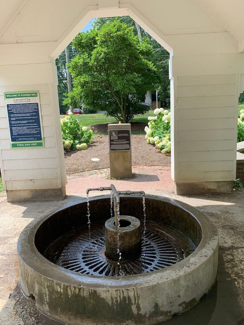 Flowing Well Park