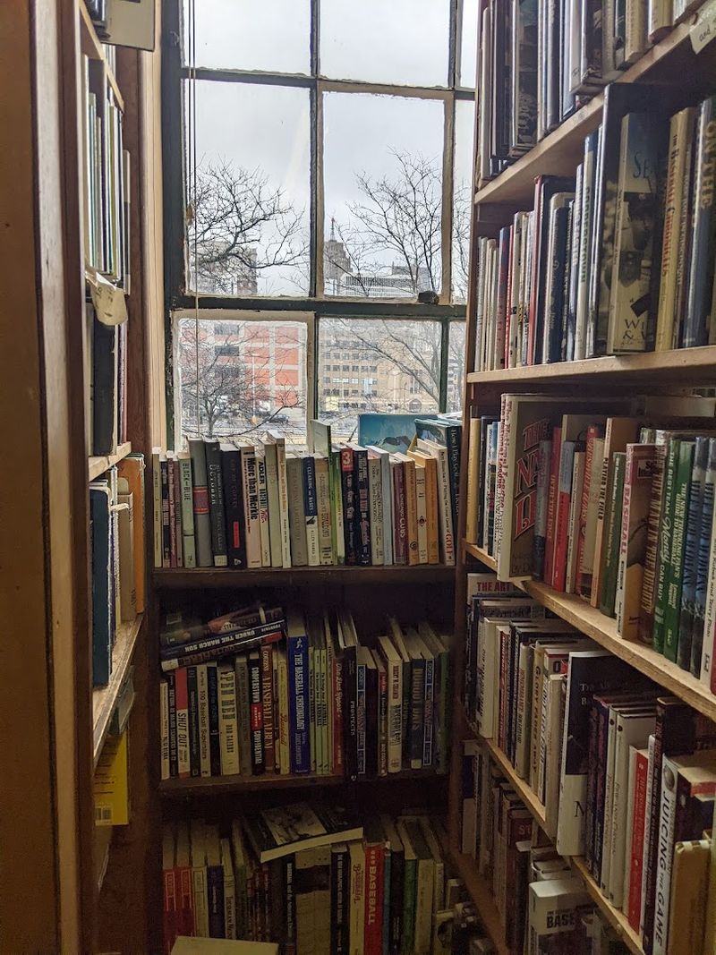 The Joyful Wag Of A Tail Among The Stacks