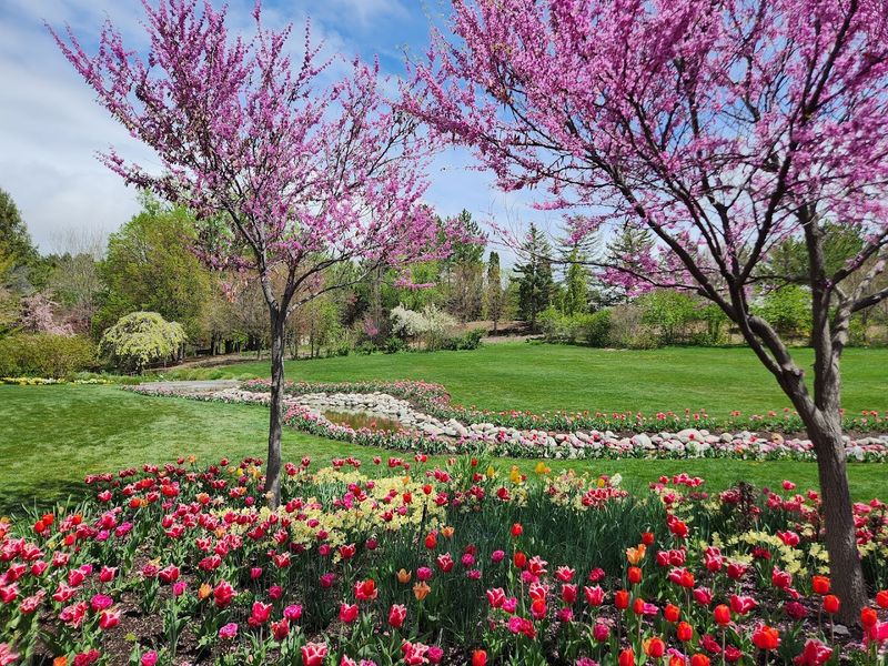 This Lehi Tradition Feels Bigger Every Year