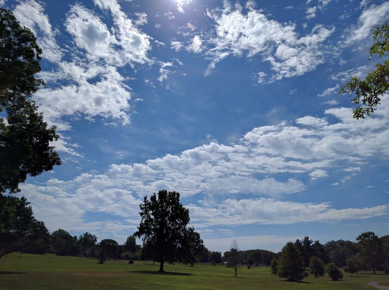 Two Miles of Trail That Connect to the Rivergreenway Network